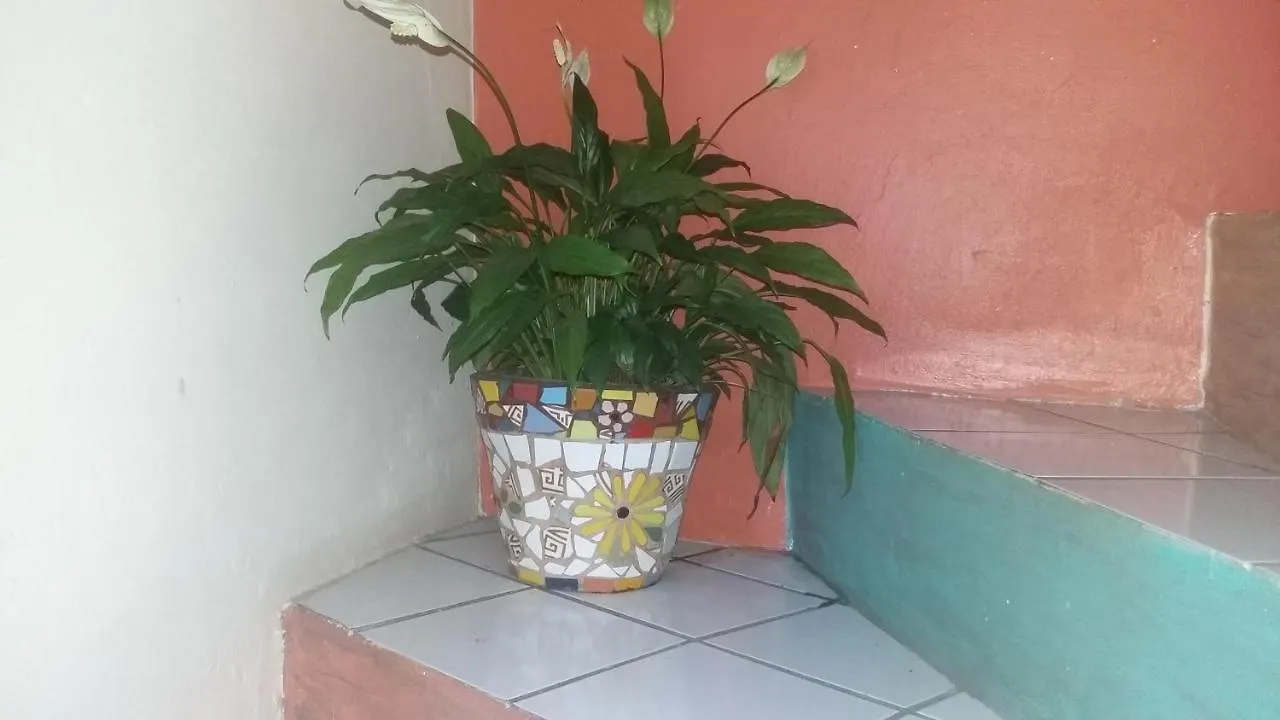 Florianópolis Casa Hostel Mosaicos Dya לינה וארוחת בוקר